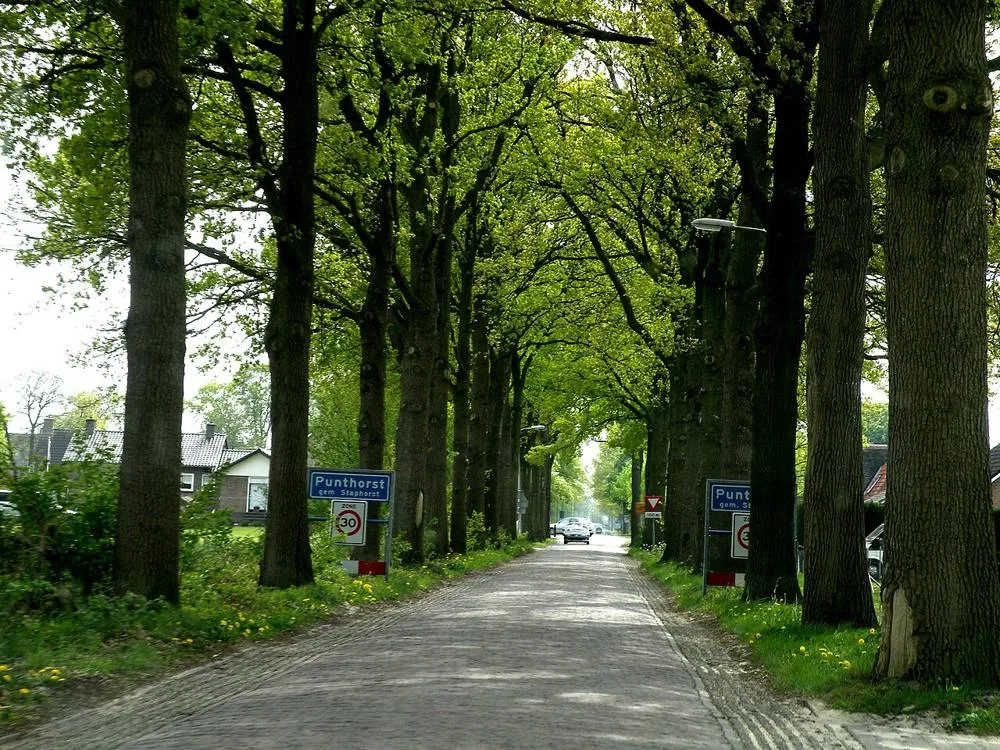 Punthorst: Punthorst-20090425